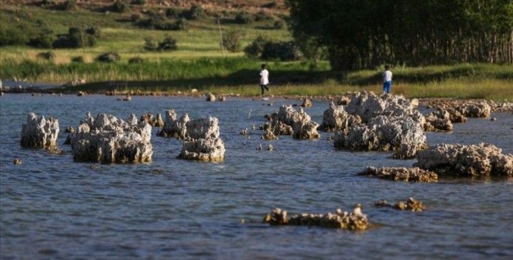 Van Gölü'nde su çekilince binlerce yıllık mikrobiyalitler ortaya çıktı