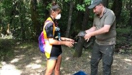 Marmaris'te 9 gün süren orman yangınında yaban hayvanları da kurtarıldı