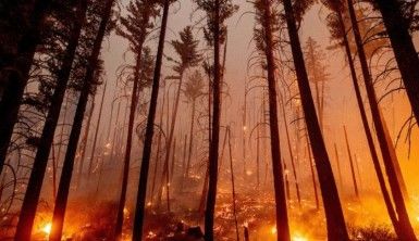 California'daki yangınlar kontrol altına alınamıyor