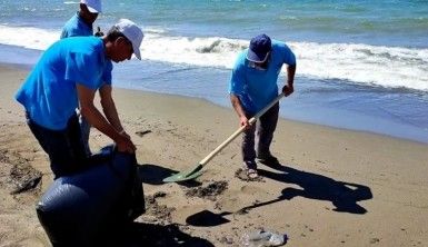 Samandağ'da petrol atıklarının temizliği 7 gündür sürüyor