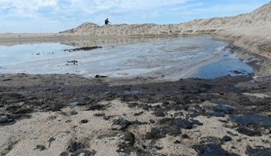 California kıyılarında petrol sızıntısını temizleme çalışmaları başladı