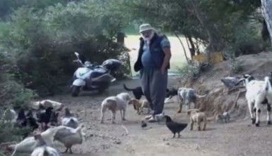 Sultangazi'de 22 yıldır ormanda yaşayan vatandaş, ''İSKİ bana buradan çık diyor''