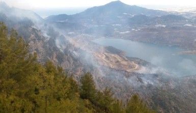 Anamur'da orman yangını