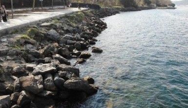 İstanbul'da tedirgin eden görüntü, Beykoz'da deniz çekildi