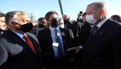 Cumhurbaşkanı Erdoğan, 81 ile 81 millet ormanı kurulacağı müjdesini verdi