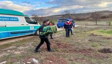 Acı gerçek otopsi raporu ile ortaya çıktı