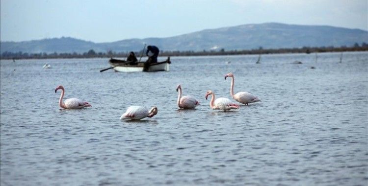 Yağmurlar, kuraklığın etkilediği Bafa Gölü'ne yaradı