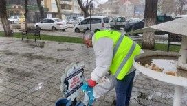 Çan Belediyesi sokak hayvanlarını unutmadı