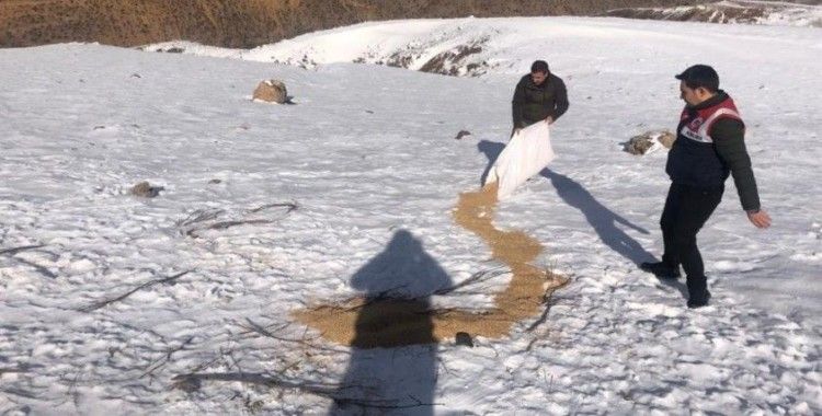 3 bin rakımlı Mereto Dağına yaban hayatı için 1 ton yem bırakıldı