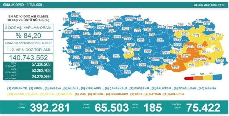 Türkiye'de 65 bin 503 kişinin testi pozitif çıktı, 185 kişi yaşamını yitirdi