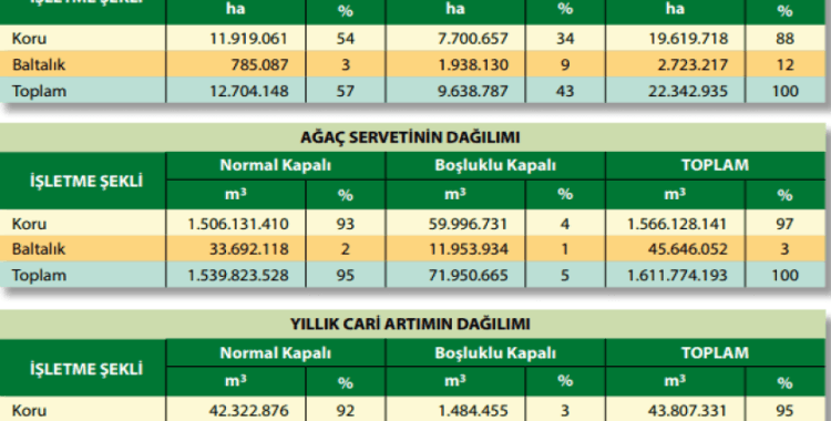 Dünyada ve Türkiye'de ormanlar