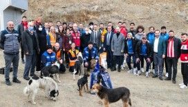 Futbol ve basketbolculardan sokak hayvanlarına destek