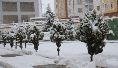 Kastamonu'da kar nedeniyle okullar tatil edildi