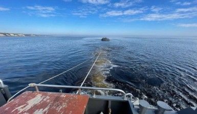 Ukrayna'da nehirden Rus helikopterinin enkazı çıkarıldı