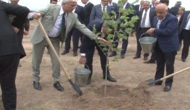 Tarım ve Orman Bakanı Kirişci, Cebrayıl'da fidan dikti