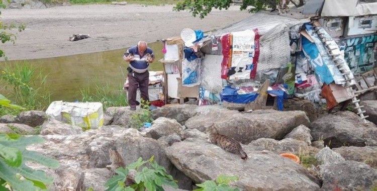 İşçi emeklisi ömrünü kedilere adadı, evlat özlemini sokak kedileriyle gideriyor