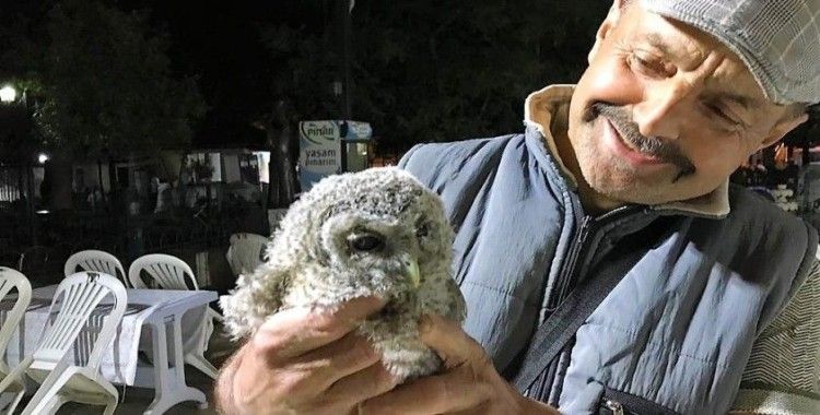 Tarlasında bulduğu yaralı baykuşa evladı gibi bakıyor