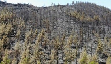 Marmaris'te söndürülen alanlar havadan görüntülendi