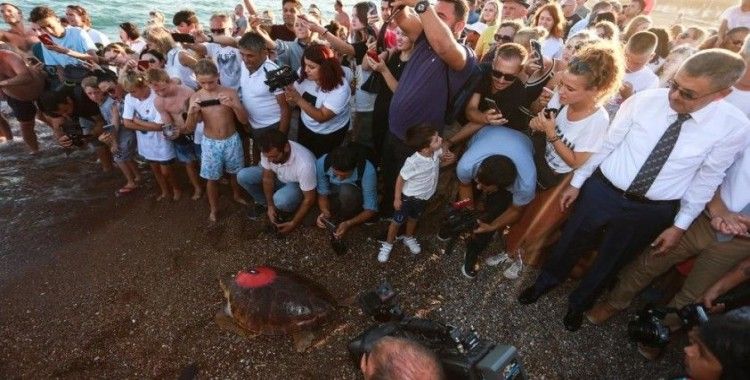 Yaralı kaplumbağaya Kıbrıs Harekatı anısına ‘Lara Barış’ ismi verildi