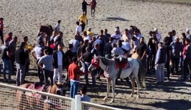 Cirit müsabakasında atlar çarpıştı, yerde kalan sporcunun üzerinden at geçti