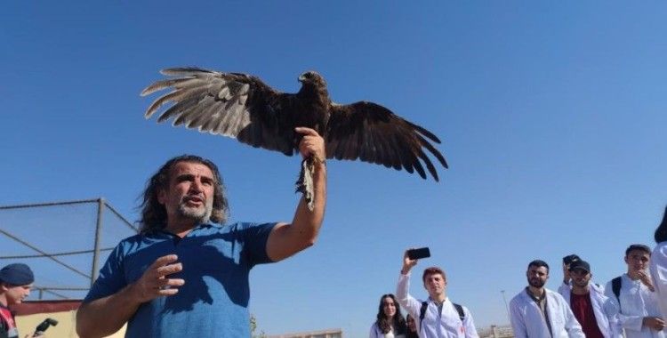 Van'da tedavileri tamamlanan 300 yabanî hayvan doğaya bırakıldı