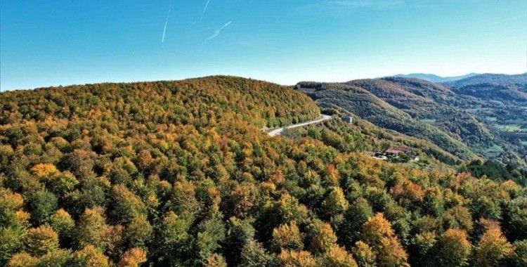 Kastamonu'nun Karadeniz'in mavisiyle bütünleşen ormanlarında sonbahar manzaraları hüküm sürüyor