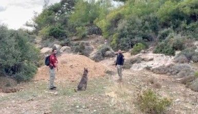 Kayıp Sedanur için özel eğitimli köpekler devrede