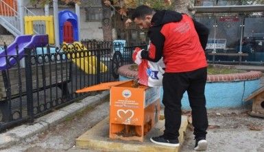 Sokaktaki canlar mamaya kolayca ulaşıyor