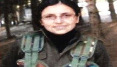 MİT, PKK-YAT'ın sözde Cezire bölge sorumlusunu etkisiz hale getirdi