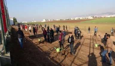 15 Temmuz şehitleri anısına 251 zeytin fidanı dikildi