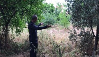 Edremit’te tarihi kabirlerin bakımsızlığı tepkilere neden oldu