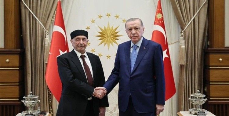 Cumhurbaşkanı Erdoğan, Libya Temsilciler Meclisi Başkanı Salih'i kabul etti