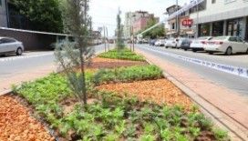 Cemiloğlu Caddesi'nde peyzaj çalışması yapıldı