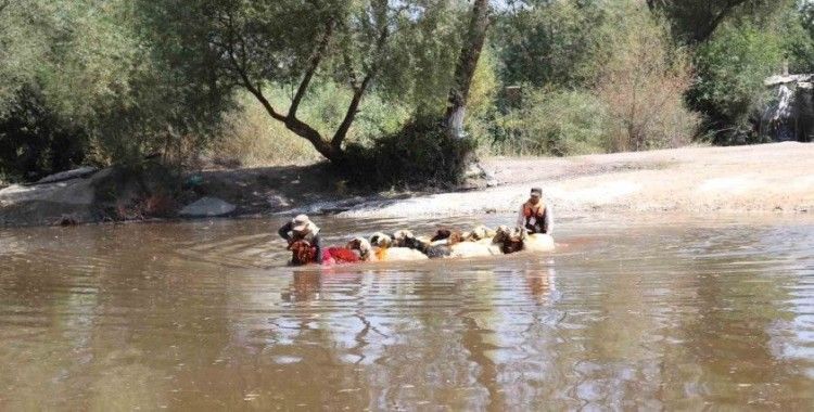 8 asırlık Sudan Koyun Geçirme Yarışları renkli görüntülere sahne oldu
