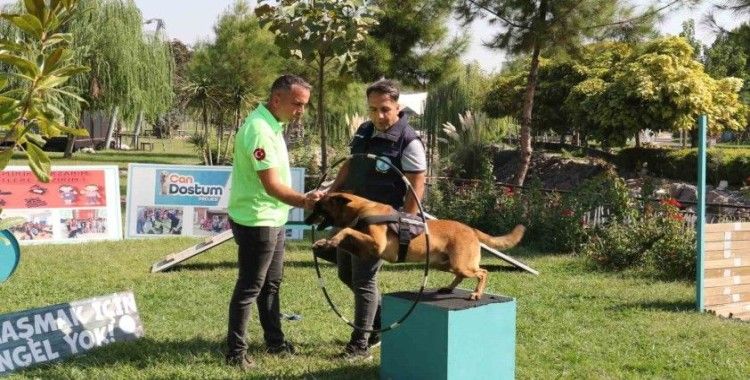 Minik öğrenciler eğitimli köpeklerin gösterisine hayran kaldı
