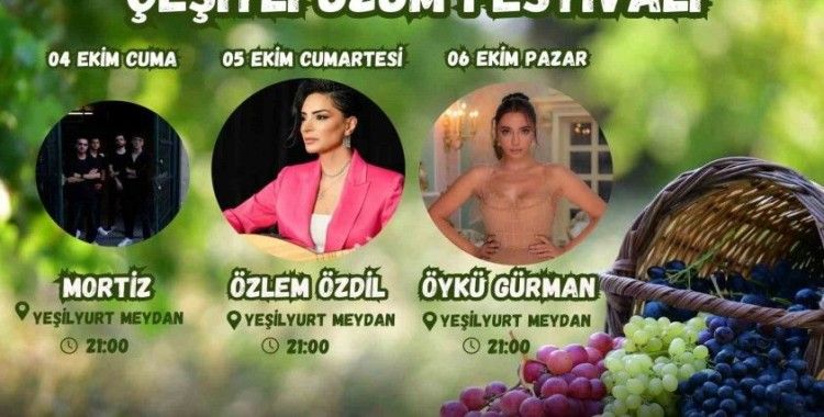 Çeşitli üzümlerin tanıtımı için festival düzenleniyor
