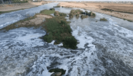 Dicle Nehri'nden alınan numuneler temiz çıktı