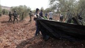 Filistin topraklarını gasbeden İsrailliler, Nablus'ta zeytin toplayan Filistinli çiftçilere saldırdı