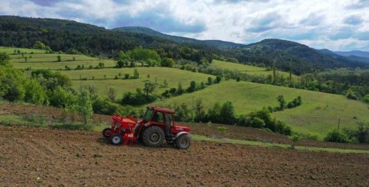 Ordu’da boş arazilerden bugün bereket fışkırıyor
