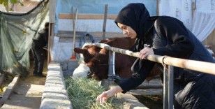 Gıda mühendisi 2 çocuk annesi devletten aldığı destek ile genç yaşta besici oldu
