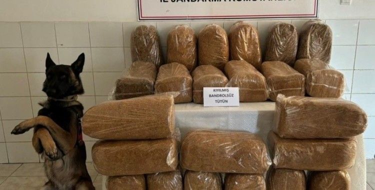 Gümüşhane’de 138 kilogram kaçak tütün ele geçirildi
