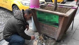 Bayburtlu taksici siftahı kedileri besleyerek yapıyor
