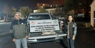 Van’da yasadışı avlanan şahsa 11 bin lira caza
