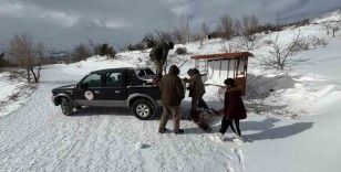 Yoğun kar yağının etkili olduğu Erzincan’da tarımda zarar tespit çalışmaları sürdürülüyor
