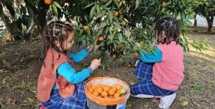 Aydın’dan Elazığ ve Şemdinli’deki engellilere vefa köprüsü
