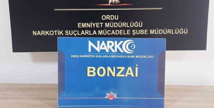 Ordu’da uyuşturucu operasyonlarında 1 tutuklama
