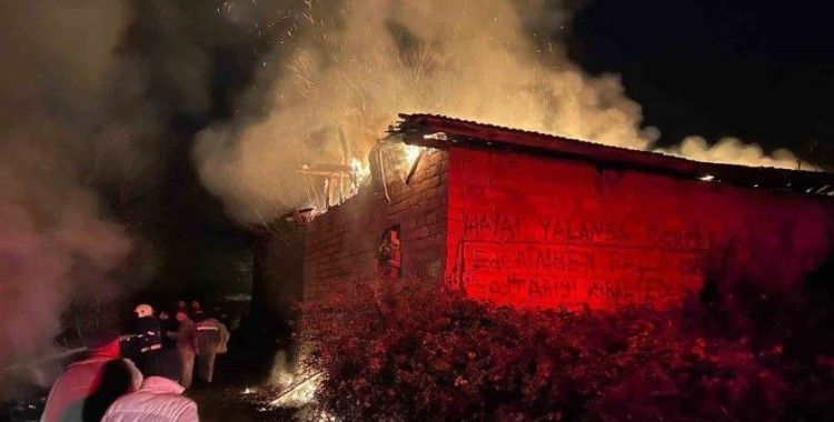 Alevlere teslim olan samanlık küle döndü
