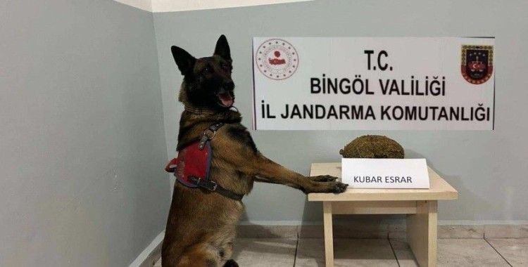 Bingöl’de uyuşturucu ve  aranan şahıslara yönelik çalışma
