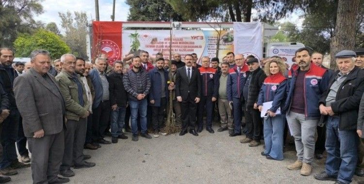 Sultanhisar’da 6 bin kestane fidanı dağıtıldı
