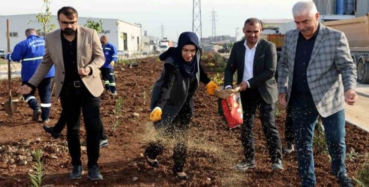 Akdeniz ilçesi yeni bir yeşil alan kazanıyor
